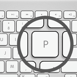 Keyboard shortcut 'P'